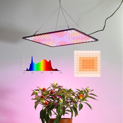 China VEG+BLOOM+COB Full Spectrum Light Plant Grow Light Quantum Dish Led Grow Light For Indoor Plants for sale