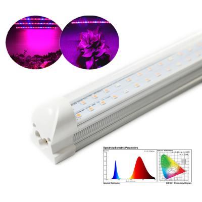 China Seed Starting Plant Wholesale T8 /5W /30CM LED Grow Light Strips Plant Light Tube For Indoor Plant Growth for sale