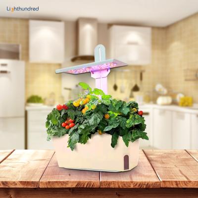 China Height Adjustable Herb Mini Smart Garden Growing Kit Indoor Smart Garden For Different Plants With Timer for sale