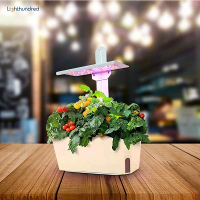 China Mini Smart Garden For Plants Height Adjustable Indoor Smart Garden Hydroponic Flower Planter for sale