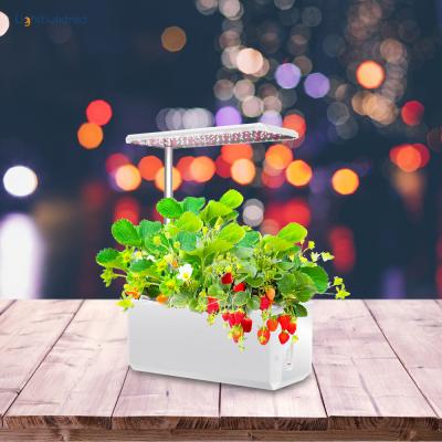 China Art Decor Indoor Smart Garden Pot Self Watering Herb Smart Planter Led Growing System for sale