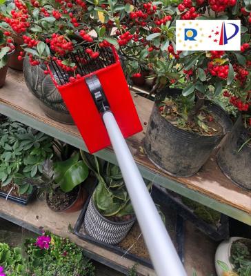 China Wild Berry Picker Fruit Harvesting Berry Harvester 120CM Long Handle Blueberry Modern Ergonomic Harvester Tool for sale