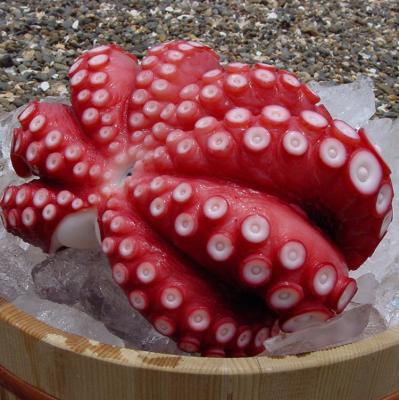 China Frozen Fast Transit Octopus Big Jelly Fresh Jellied Whole Cleaned for sale