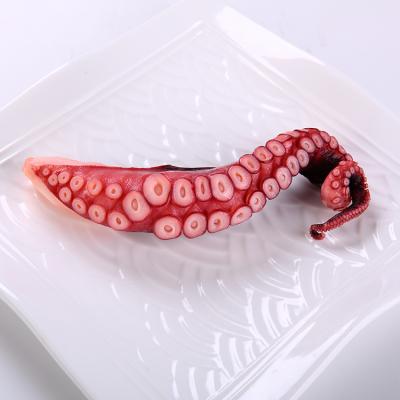 China Wholesale big size cooked frozen matako leg tentacle cooked octopus for sale