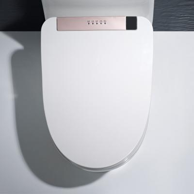 China Electronic Bidet Automatic Clean Automatic Smart Toilet Seat Cover Cover Toilet Light Night LED Bidets Heating Instant Heating for sale