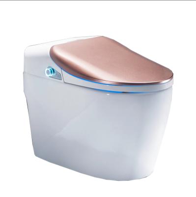 China Wc Ceramic Sanitary Ware Smart Bathroom Smart Toilet Double-flow Smart Toilet for sale