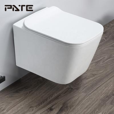 China White Ceramic WC Hidden Hidden Hung Toilet Wall Mounted Washdown Good Quality Water Reservoir Tank 110V/220V for sale