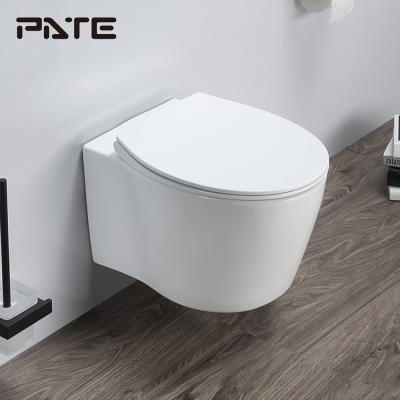 China Ceramic Tank Professional Manufacturing Hidden Hang Wall Bathroom And Toilet Cheap Equipment for sale