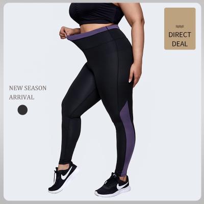 China Factory Breathable Breathable Plus Size Cuffs Sports Pants Quick Dry Tight High Elastic Yoga Pants High Waist Cuffs Plus Size for sale