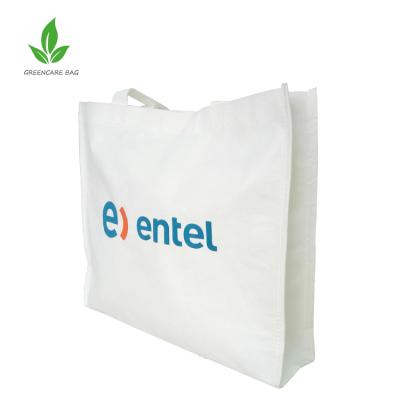 China Fashion 100% Eco-friendly Non Woven Bamboo Bag 100% Biodegradable Bamboo Handles for sale