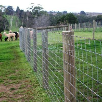 China Fixed Common Fence Mesh 1m/1.5m/2m High Hinge Knot Field Fence Australia Sheep Goat Livestock Set Up Fence for sale