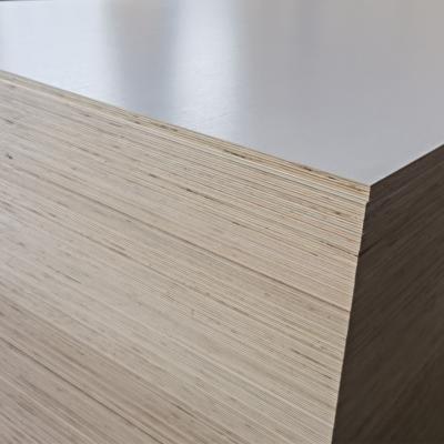 China Industrial Hot Selling Birch Plywood Hardwood Plywood For Furniture Grade Waterproof Plywood Wood Sheet for sale