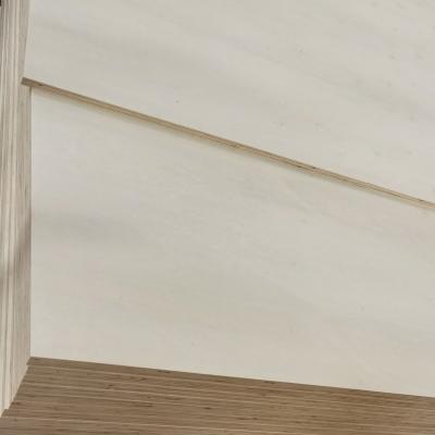 China Good quality industrial eucalyptus acacia plywood sheets packing commercial furniture plywood for sale