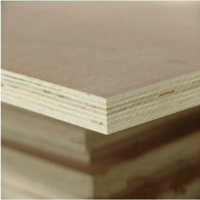 China Industrial Packing Plywood Size 1220mm X 2440mm Thickness 7mm To 21mm Commercial Plywood for sale