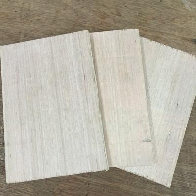 China Industrial Competitive Price Commercial Plywood For Furniture Flooring Doors Sideboards for sale