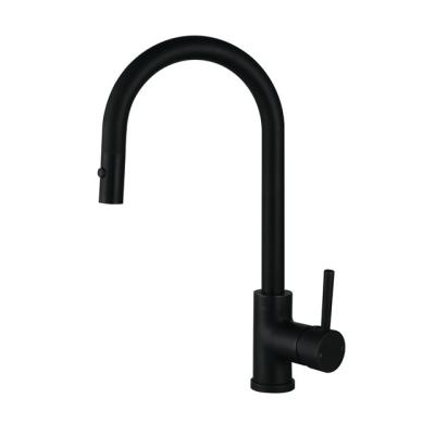 China Latest Modern Thermostatic Faucets Pull Out Matte Black Kitchen Sink Faucet for sale