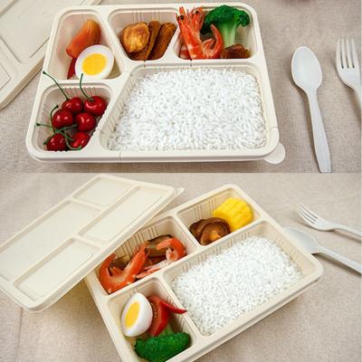 China Disposable Four-grid Food Lunch Box Food Packaging Box Cornstarch Lightweight Degradable Lunch Box Blister Plastic PET Accept for sale