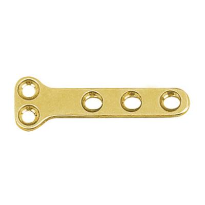 China Competitive Price Veterinary Bone 1.1mm T Type Operation Orthopedic Plate Trauma Implants (B Series) for sale