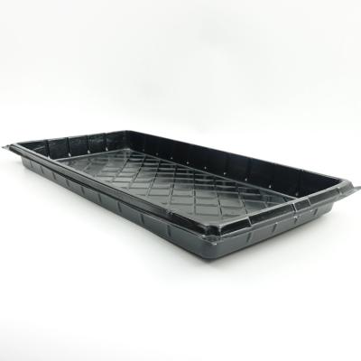 China Eco - Friendly Unperforated Flat Seed Planting Trays Seed Planting Starter Tray for sale