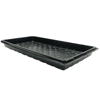 China Flower Planting Bean Sprouts Planting Nursery Seedling Tray Vegetable Cultivation Hydroponics for sale