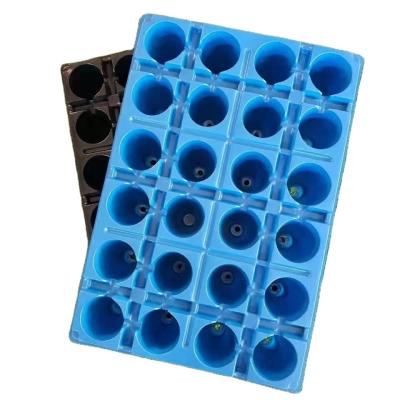 China Outdoor - Seed Tray Garden Greenhouse 24 Holes Seedling Tray for sale