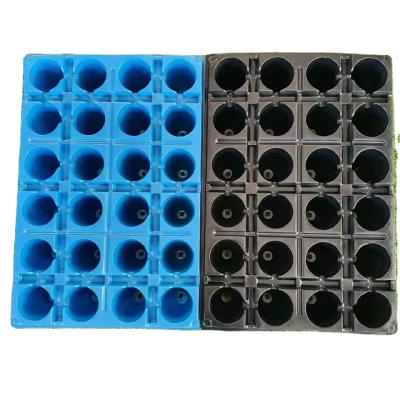 China Outdoor - Seed Tray Garden Greenhouse Best Price 24 Holes Pet Seedling Tray For Tree Seedling for sale