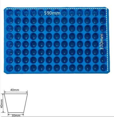 China Planting Flowers 104 Holes Seeds Nursery Vegetable Tray For Cucumber Tomato for sale