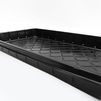 China Plastic Seed Cells Tray No Holes Seedling Starter Tray For Watermelon Seed Planting Eco-Friendly Cheap Price PVC Seed for sale