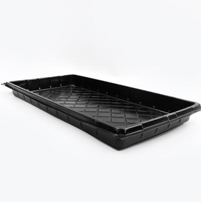 China Eco-Friendly Direct Wholesale Cheap Seed Planting No Holes Seed Sprouter Nursery Tray Plastic Seed Growing Trays For Plants for sale