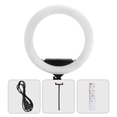 China Kamera Ring Light With Wireless Remote 95ra 10000lux Selfie 100 Watt zu verkaufen