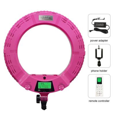 Cina colore regolabile RGB a 10 pollici Selfie Ring Light della Bi della luce di Selfie dello studio di 45cm LED in vendita