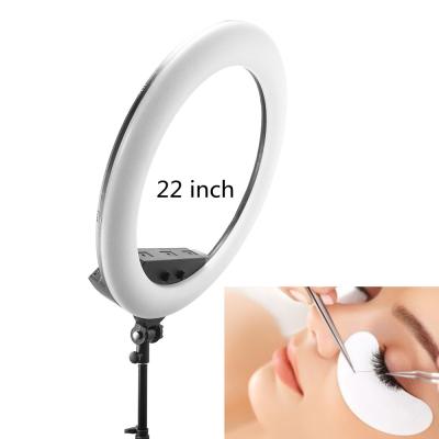 China 55cm 100w geführte Wimper-Ring Light With Tripod Stand-Fernbedienung zu verkaufen