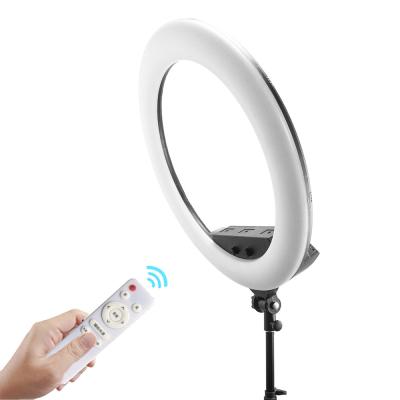 China Live Streaming 22 Inch Ring Light Led Video Fill Lamp With Tripod Stand 5500k zu verkaufen