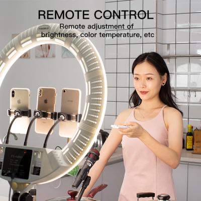 China 100W ring lamp FS-640II ring lamp fill light for makeup video live studio Youtuber Vlog Fill eyelash artist Beauty for sale