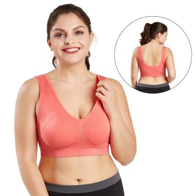 China B15175A breathable plus size women's full size women's gym running crop plus size seamless padded bra for sale