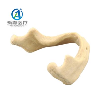 China Cheap Realistic Anatomical Training Human Simulation Exercises Implant Jaw Model With Best Quality for sale