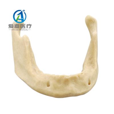 China Realistic Cheap Vivid Human Simulation Anatomy Dental Implant Practice Jaw Model With Best Quality for sale