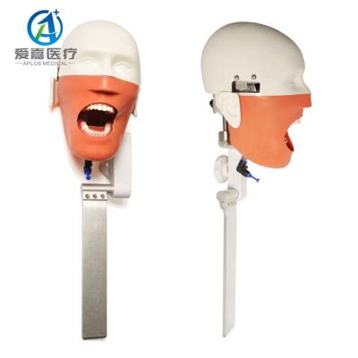 China Dental Simulator Phantom Head Dental Chair Mounted Realistic Dental Model Manikin From Human Simulation Maker For Training for sale