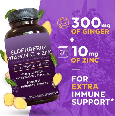 China Natural Immunity Enhancement Elderberry Gummies For OEM/ODM Bears With Private Label Logo for sale