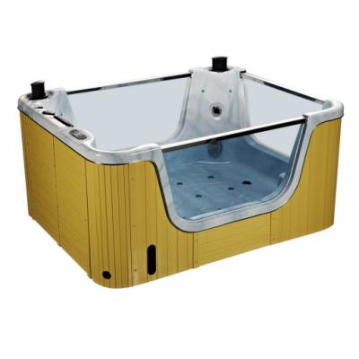 China Hot Sale Eco-friendly Freestanding Massage Acrylic Bathtub With LED Light Whirlpool Massage Baby Spa Pool for sale