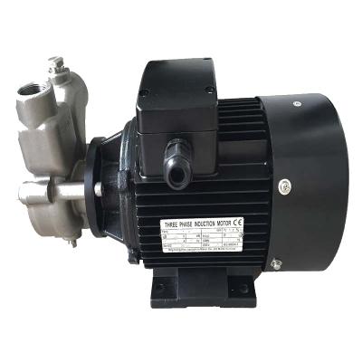 China Gas Flow 0.3t-55t Vortex Pump Aquaculture Aeration Pump Gas Liquid Mixing Pump For Dissolved Air Flotation System for sale