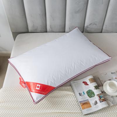 China 5cm anti-static wall goose stockings and feather neck red piping high quality pillow for sale