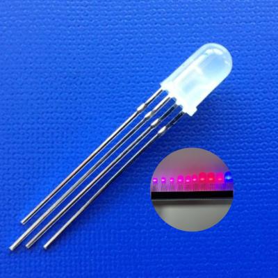 China 5mm GRBW Adressierbare LED-Diode Farbänderbare Frosted-Linse 4-in-1 SK6812 Runde LED-Diode zur Kopfsteuerung zu verkaufen