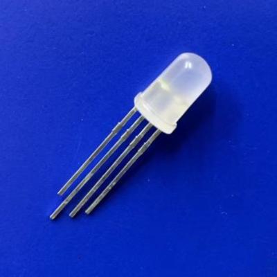 China 12V 5mm Adressierbare LED-Diode R G B Traumfarbdiffusierte Linse 3-in-1 WS2812B zu verkaufen