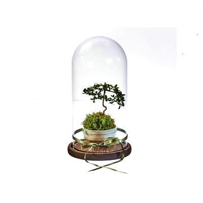 China Europe Hot New Products Custom Mini Greenhouse Glass Vases With Good Price for sale