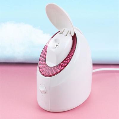 China Hot Acceptable Moisturizer Dropshipping Nano Ionic Facial Steamer Mist Humidifier Moisturizing Face Spa Beauty Facial Steamer for sale