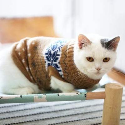 China Viable Winter Wholesale Free Sample Cat Clothes Custom Order Cat Clothes for sale