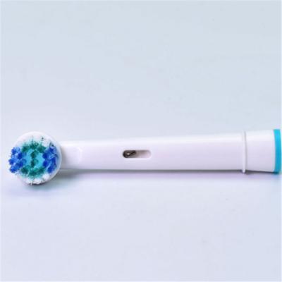 China US Dupont Bristle Popular New Multi-model Universal Electric Toothbrush Head for sale