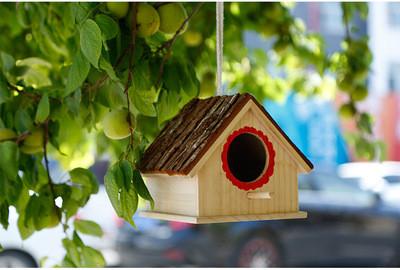 China Fortune Paulownia Wooden Bird Nesting Box Wooden Crafts Supplies for sale