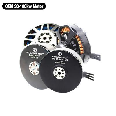 China Low RPM 27kw 30kw 35kw Waterproof High Torque ODM Brushless Electric Motor for sale